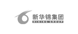 新华锦集团网站建设