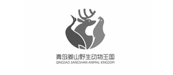 裕舜达旅游青岛网站建设